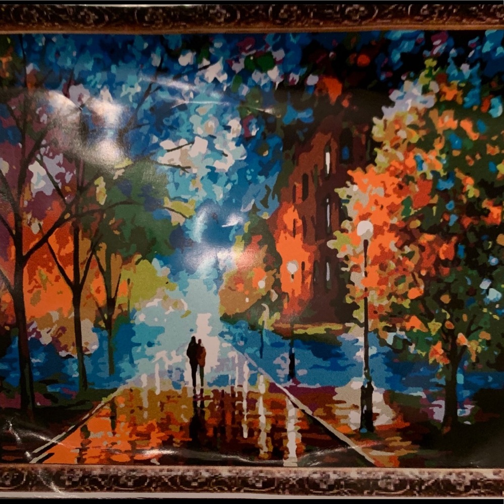 Adult paint by numbers